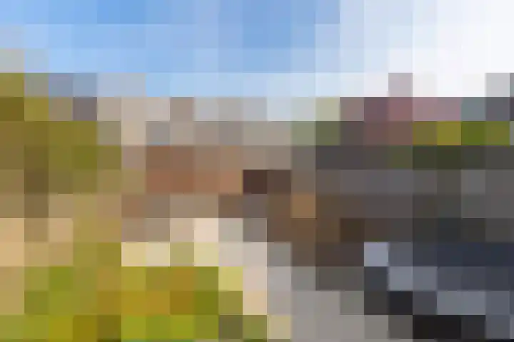 Botterlaan 33 Zaandam thumbnail 41