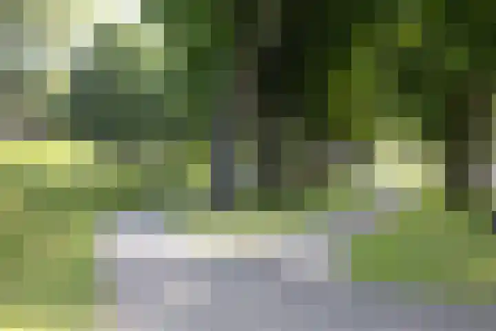 Botterlaan 33 Zaandam thumbnail 42