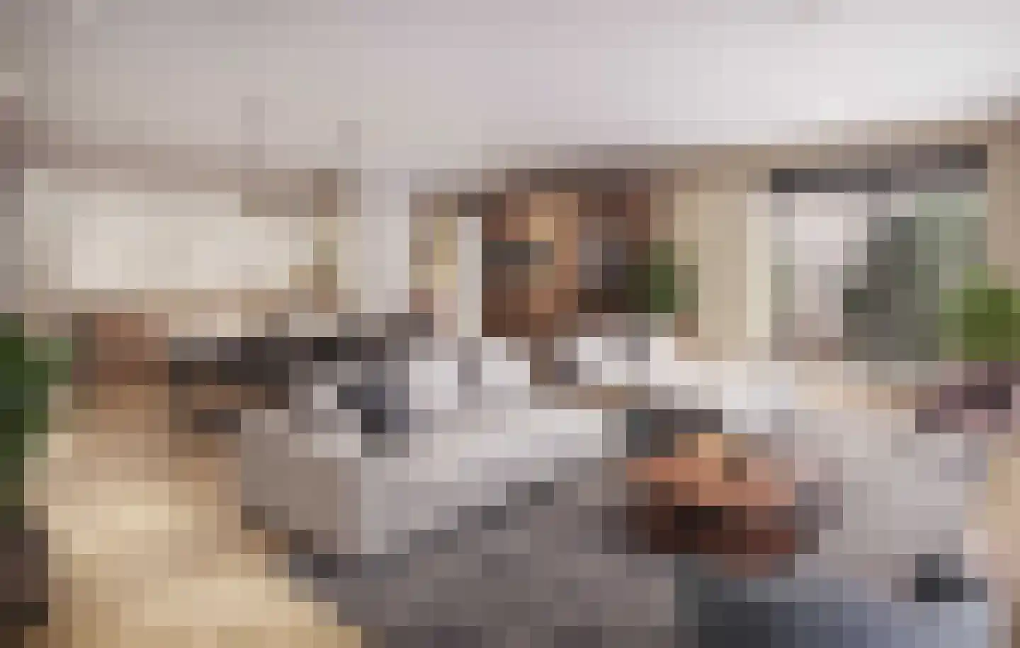 Botterlaan 5 Kortgene thumbnail 10