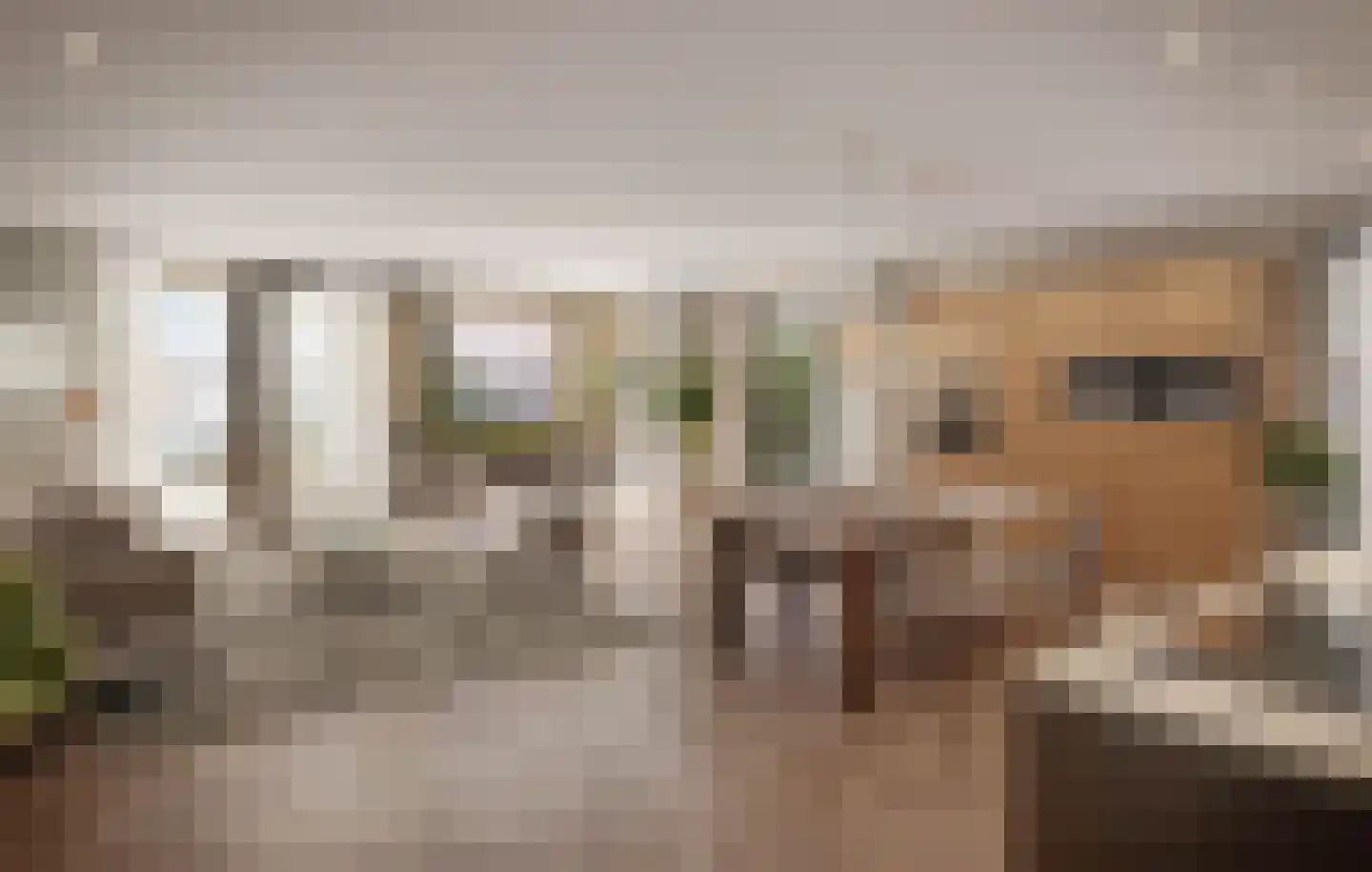 Botterlaan 5 Kortgene thumbnail 8
