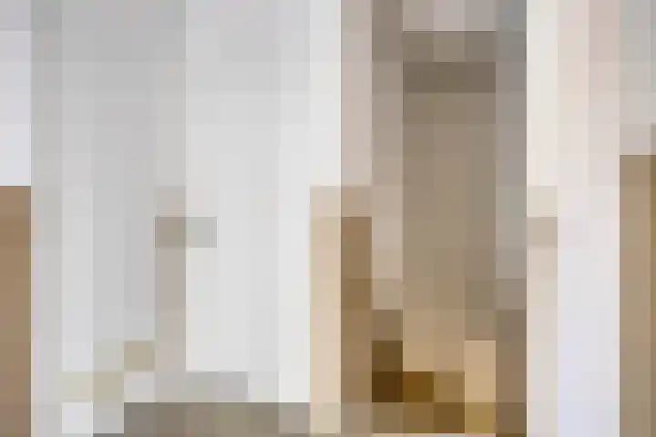Botterstraat 22 Emmeloord thumbnail 20