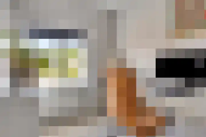 Botterstraat 22 Emmeloord thumbnail 32