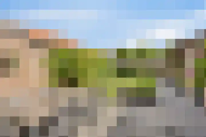 Botterstraat 22 Emmeloord thumbnail 34