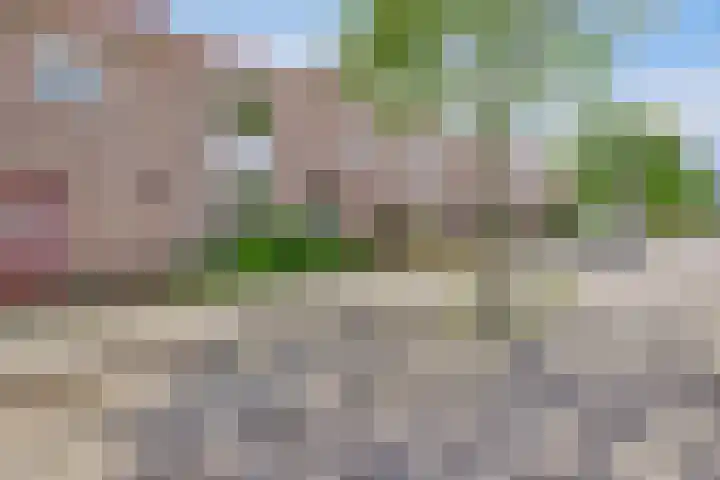 Botterstraat 22 Emmeloord thumbnail 4