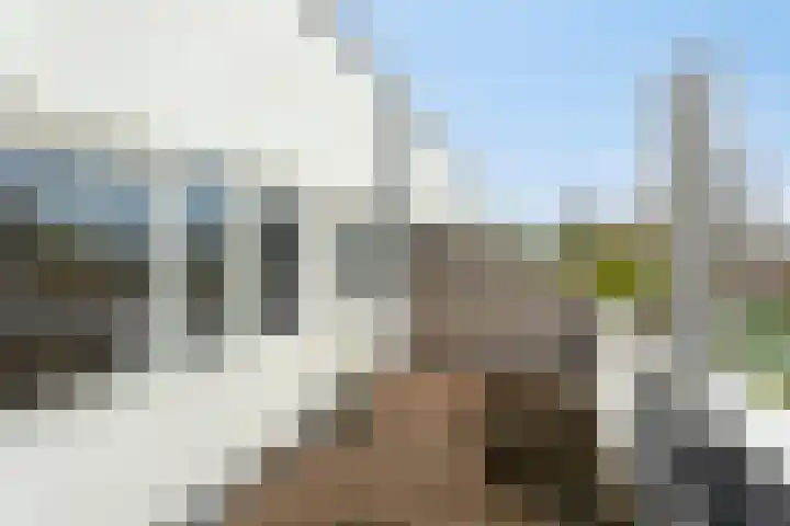 Botterstraat 3 Elburg thumbnail 36