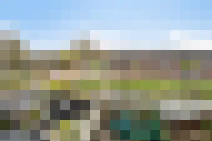 Botterstraat 3 Elburg thumbnail 37
