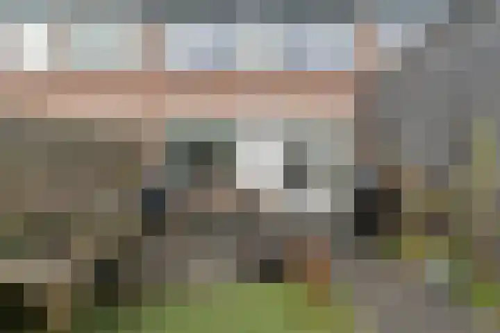 Botterstraat 3 Elburg thumbnail 39