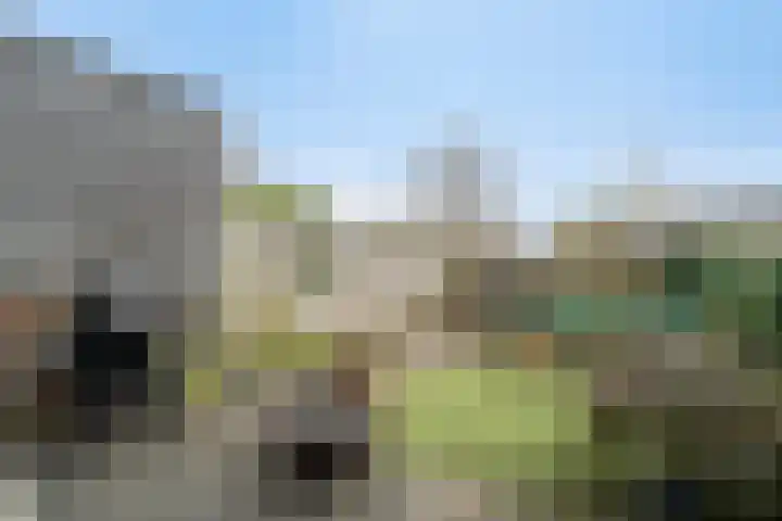 Botterstraat 3 Elburg thumbnail 5