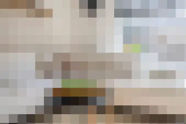 Botterstraat 38 Lisse thumbnail 16
