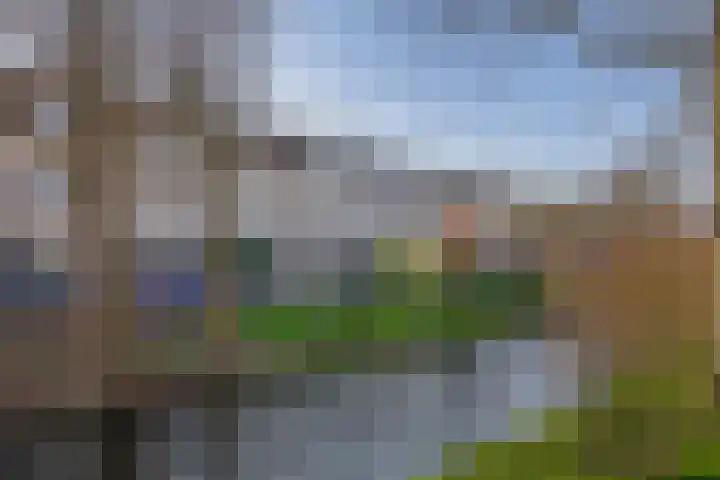 Botterstraat 38 Lisse thumbnail 37
