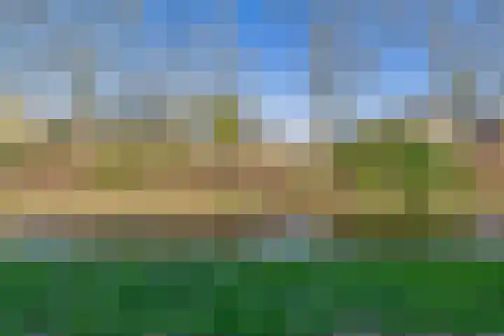 Botterstraat 38 Lisse thumbnail 53