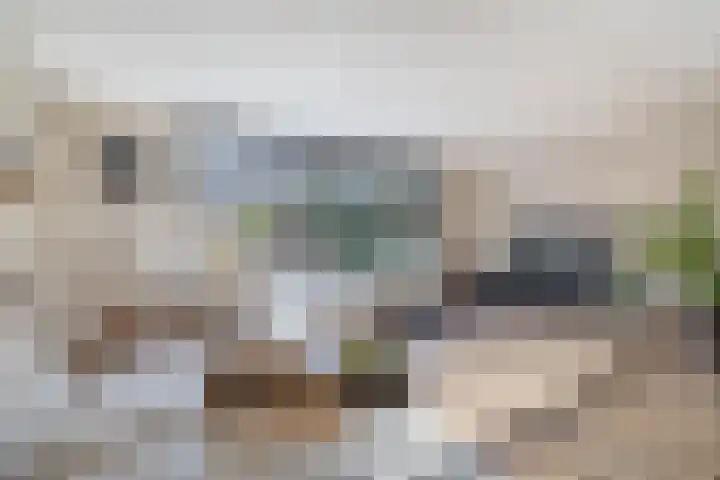 Botterstraat 38 Lisse thumbnail 8