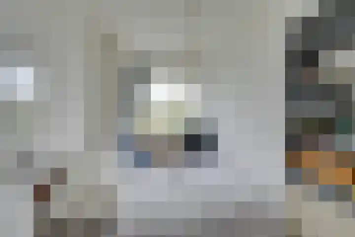 Botterstraat 40 Amsterdam thumbnail 32