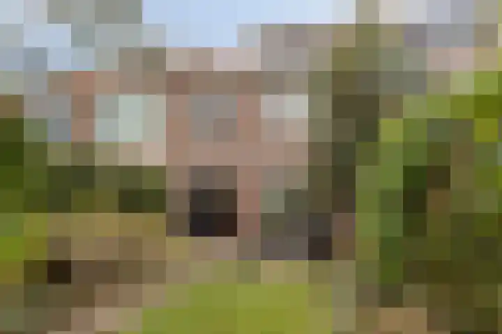Botterstraat 50 Purmerend thumbnail 33