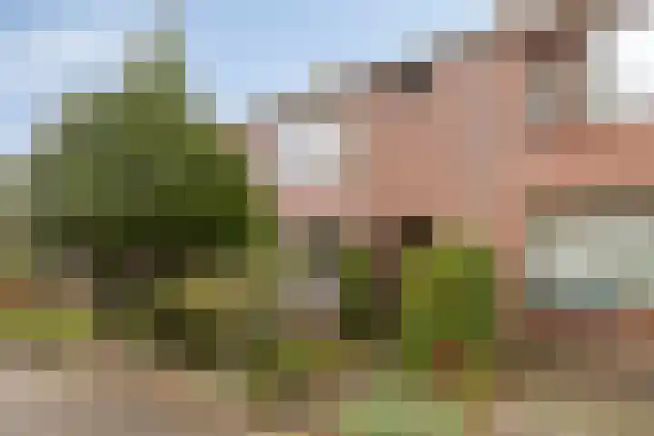 Botterstraat 50 Purmerend thumbnail 6