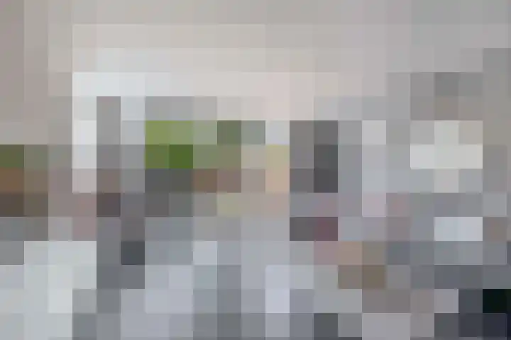 Botterstraat 54 Lisse thumbnail 4