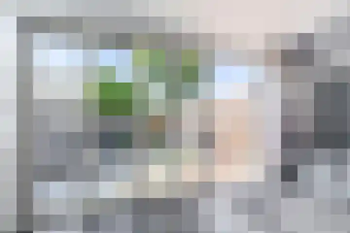 Botterstraat 54 Lisse thumbnail 8