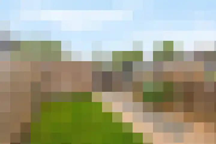 Botterwerf 4 Gouda thumbnail 12