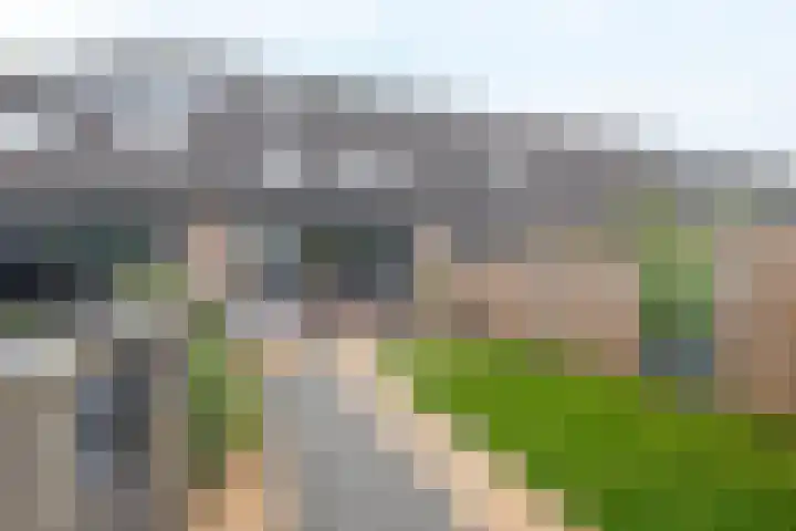 Botterwerf 4 Gouda thumbnail 13
