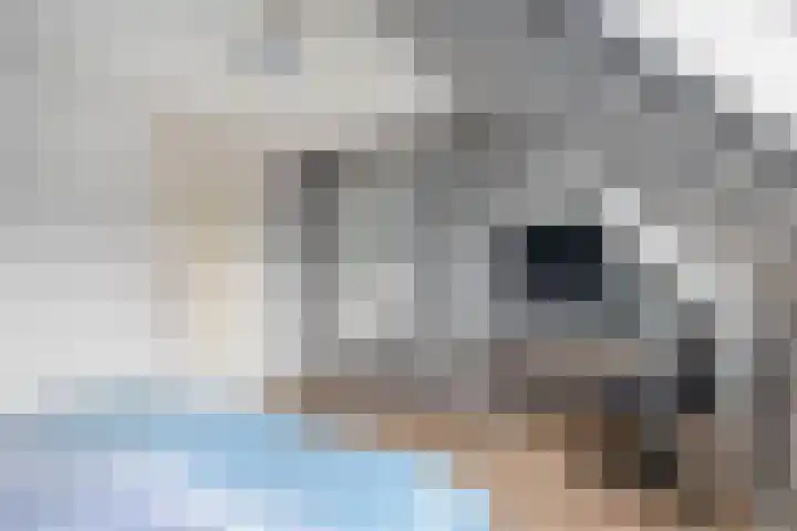 Botterwerf 4 Gouda thumbnail 16