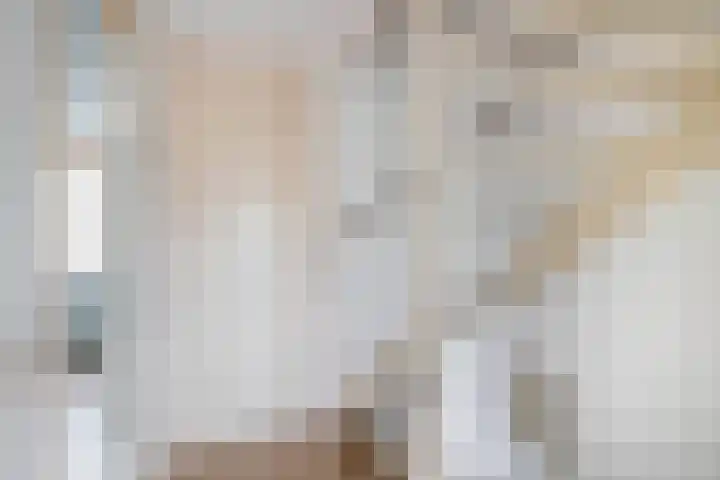 Botterwerf 4 Gouda thumbnail 22