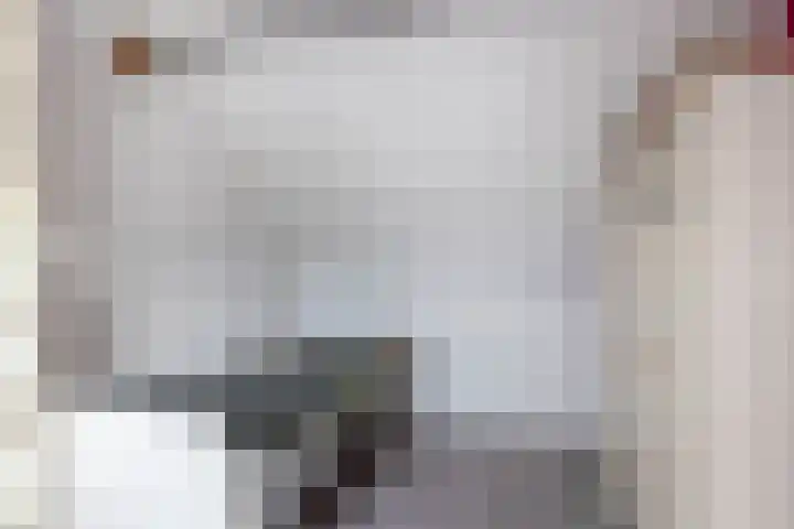 Botterwerf 4 Gouda thumbnail 25