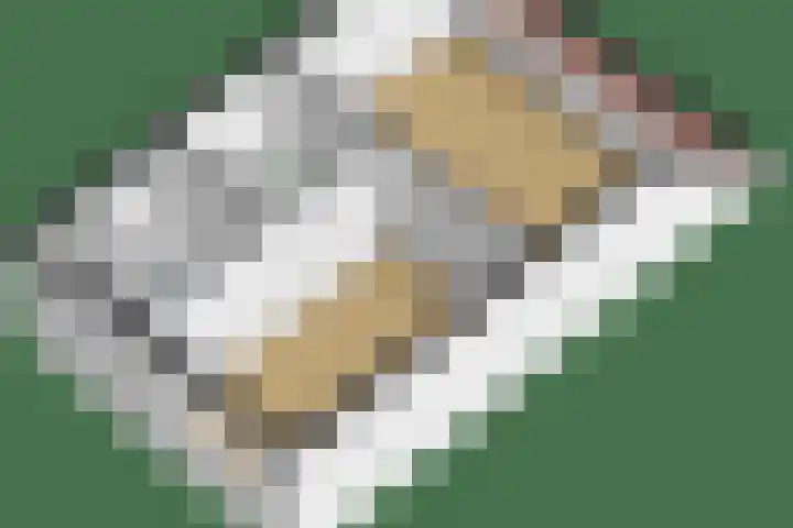 Botterwerf 4 Gouda thumbnail 29