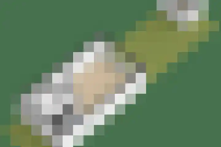 Botterwerf 4 Gouda thumbnail 33