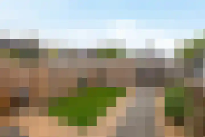 Botterwerf 4 Gouda thumbnail 4