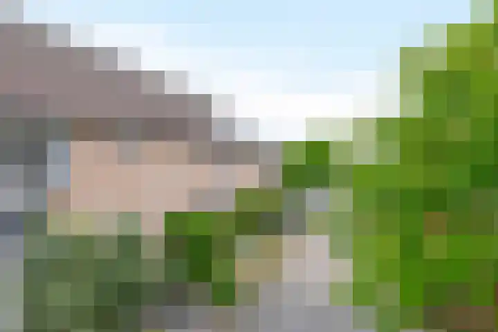Botterwerf 4 Gouda thumbnail 5