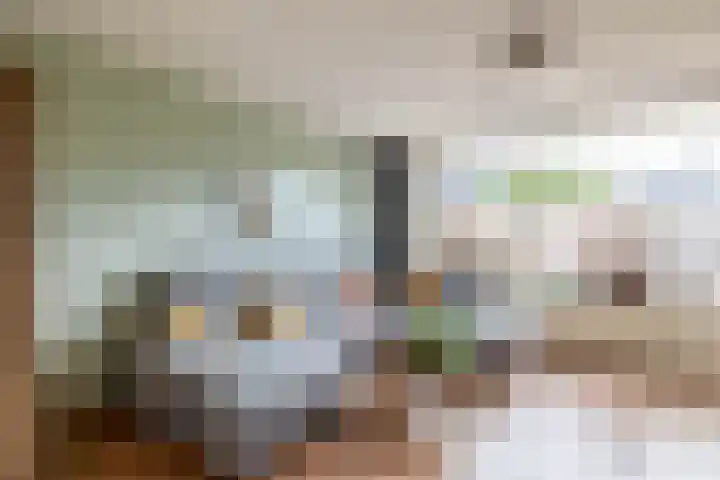 Botterwerf 4 Gouda thumbnail 8