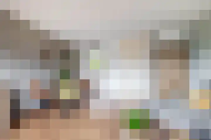 Botterwerf 4 Gouda thumbnail 9