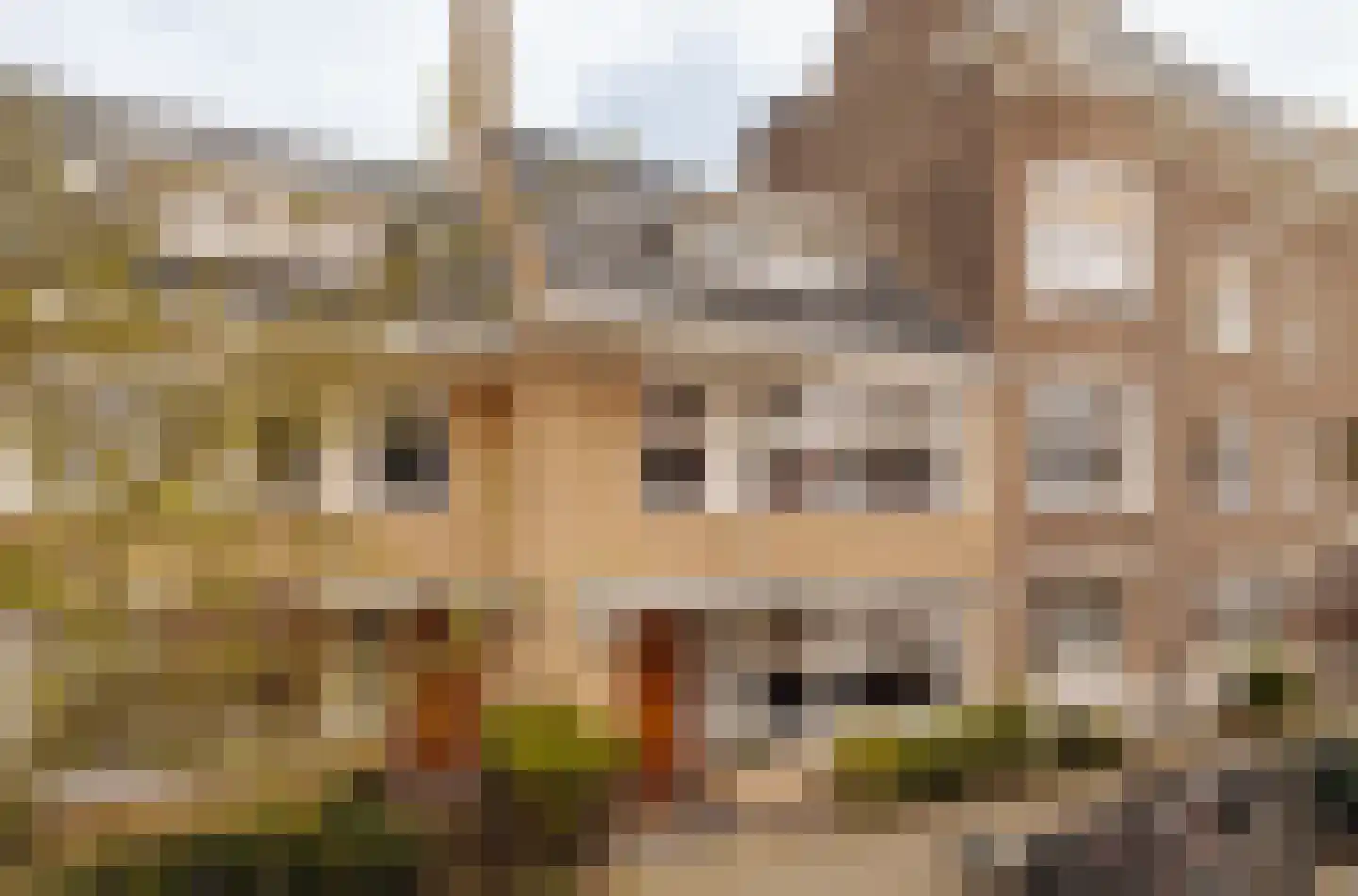 Botticellistraat 33 in Amsterdam
