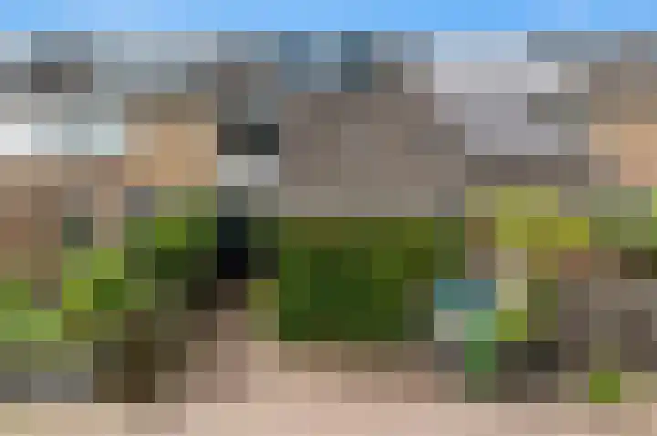 Botting 8 Maasland