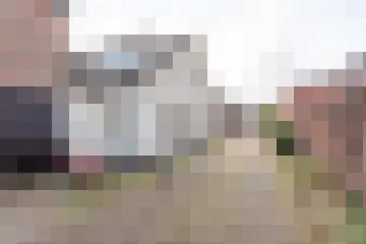 Botweg 16 Bussum thumbnail 19