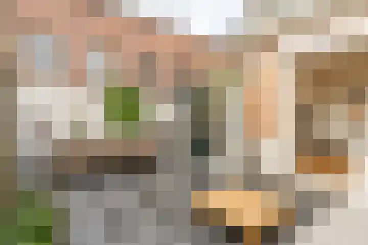 Botweg 20 Bussum thumbnail 26