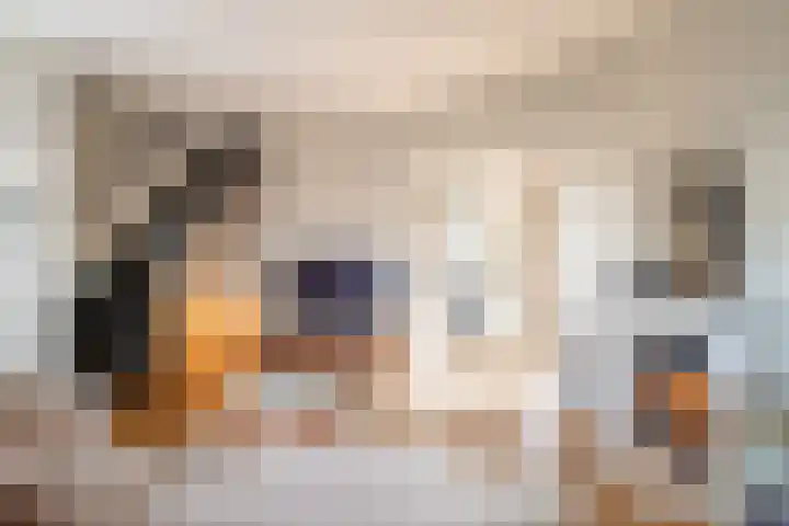 Botweg 20 Bussum thumbnail 6