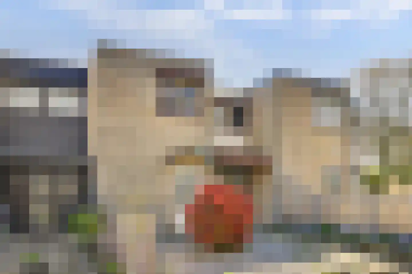 Boudewijn-Eik 52 Kerkrade