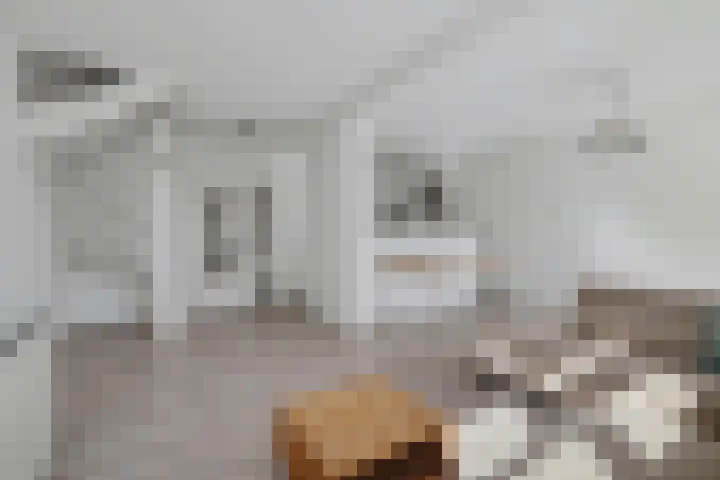 Boudewijn-Eik 52 Kerkrade thumbnail 6