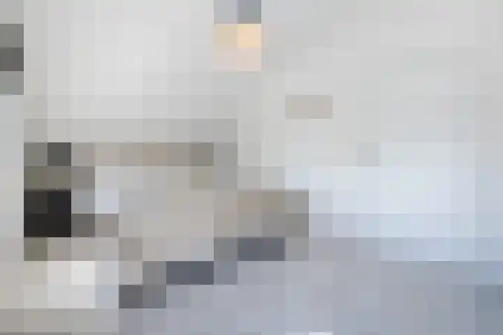 Boulevard 117 Roosendaal thumbnail 25