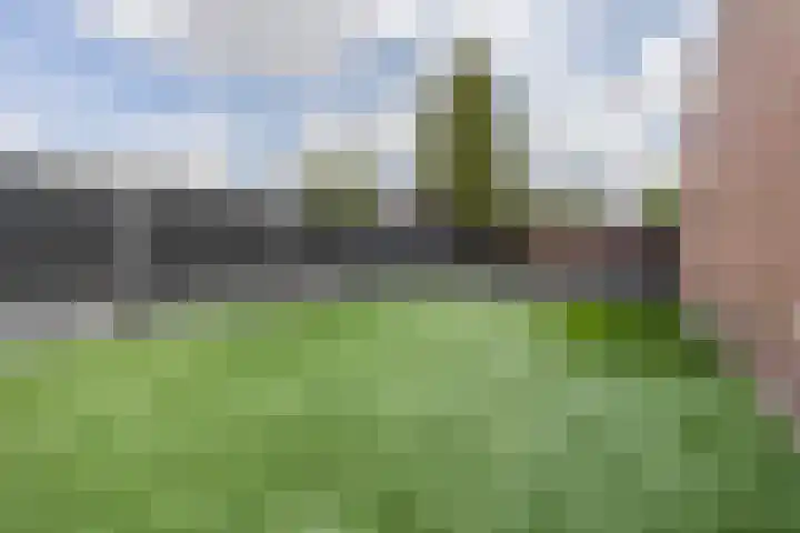 Boulevard 117 Roosendaal thumbnail 42