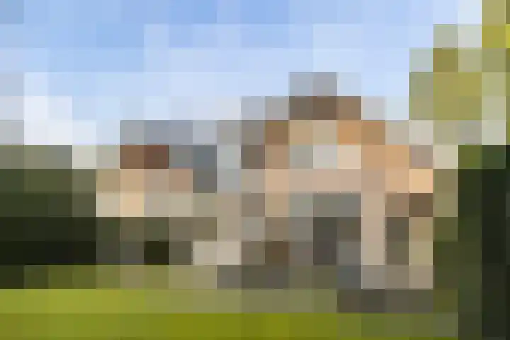 Boulevard 15 Zeist thumbnail 112