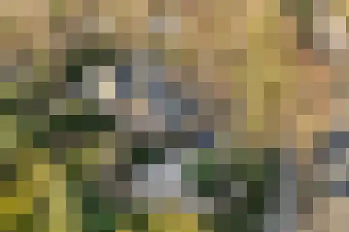 Boulevard 15 Zeist thumbnail 119