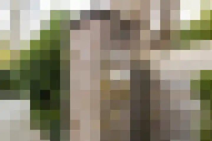 Boulevard 15 Zeist thumbnail 64
