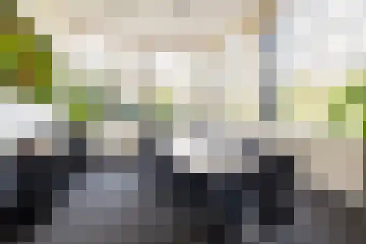 Boulevard 15 Zeist thumbnail 88