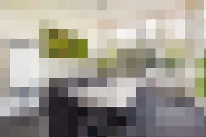 Boulevard 15 Zeist thumbnail 89