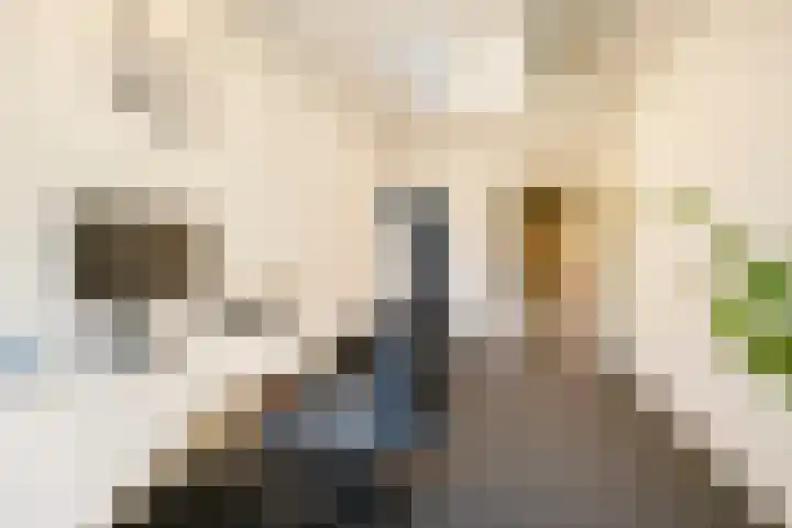Boulevard 15 Zeist thumbnail 99