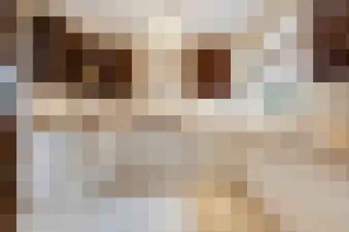 Boulevard 23 a Velp thumbnail 10