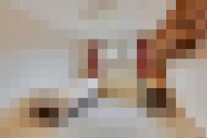 Boulevard 23 a Velp thumbnail 15