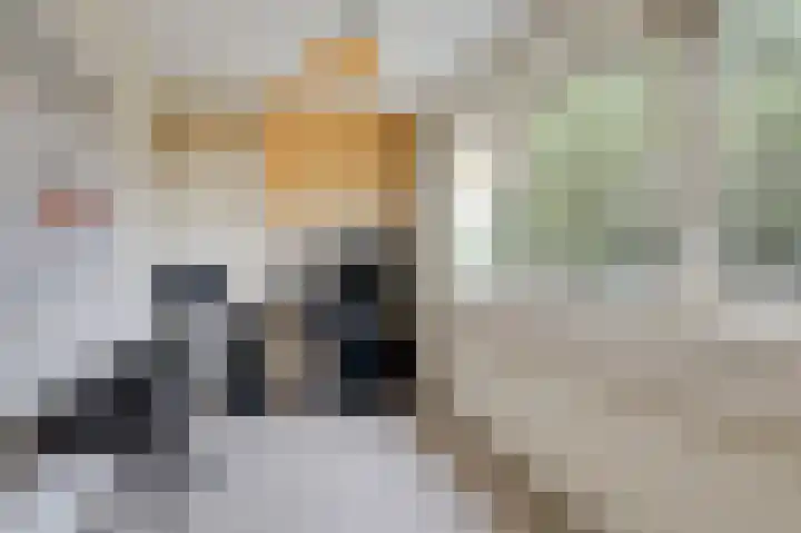 Boulevard 23 a Velp thumbnail 17